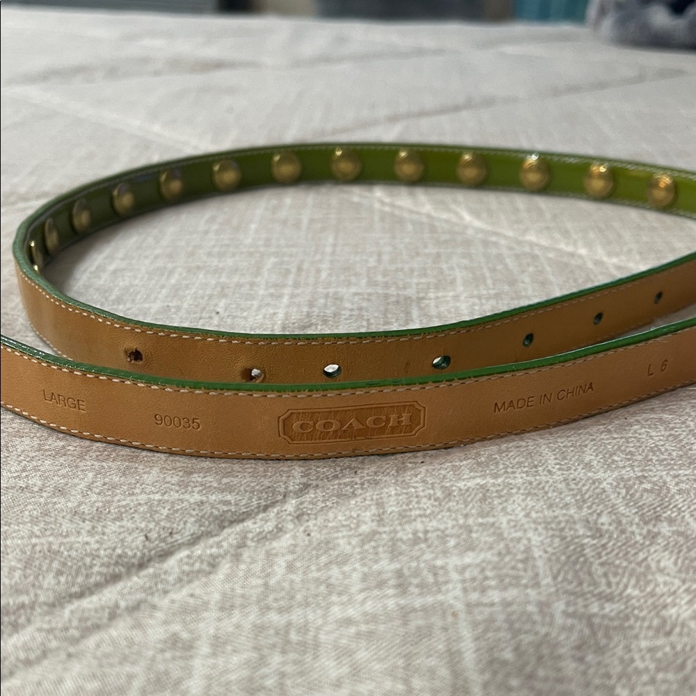 Coach Olive Belt with Brass Details - Picture 2 of 4